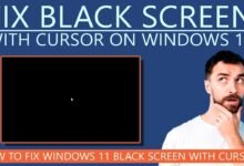 Windows 11 Black Screen After Update