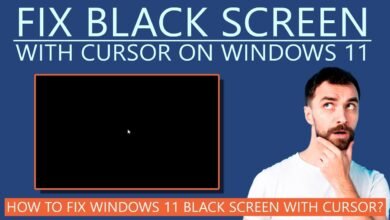 Windows 11 Black Screen After Update