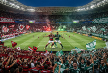 flamengo e palmeiras